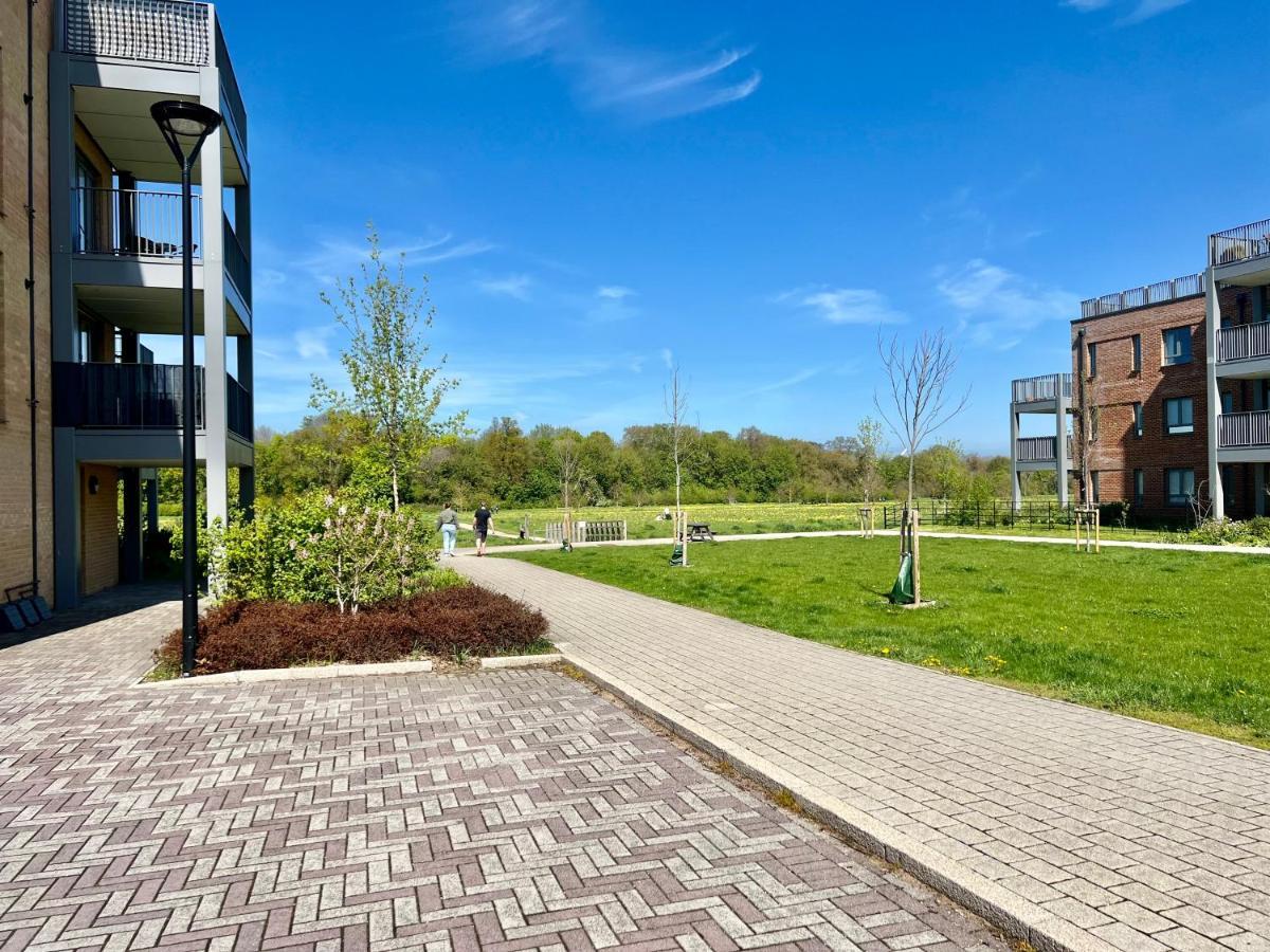 Olea Tree House Apartment Cambridge  Luaran gambar
